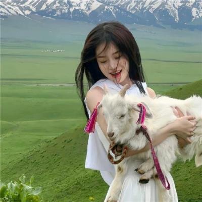 飞驰吧！少年第二季