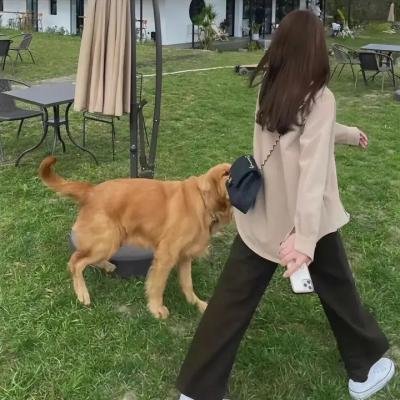 独行月球