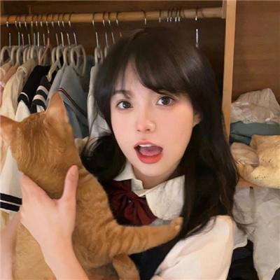 窃劫复仇